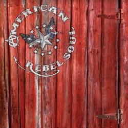 American Rebel Soul : American Rebel Soul